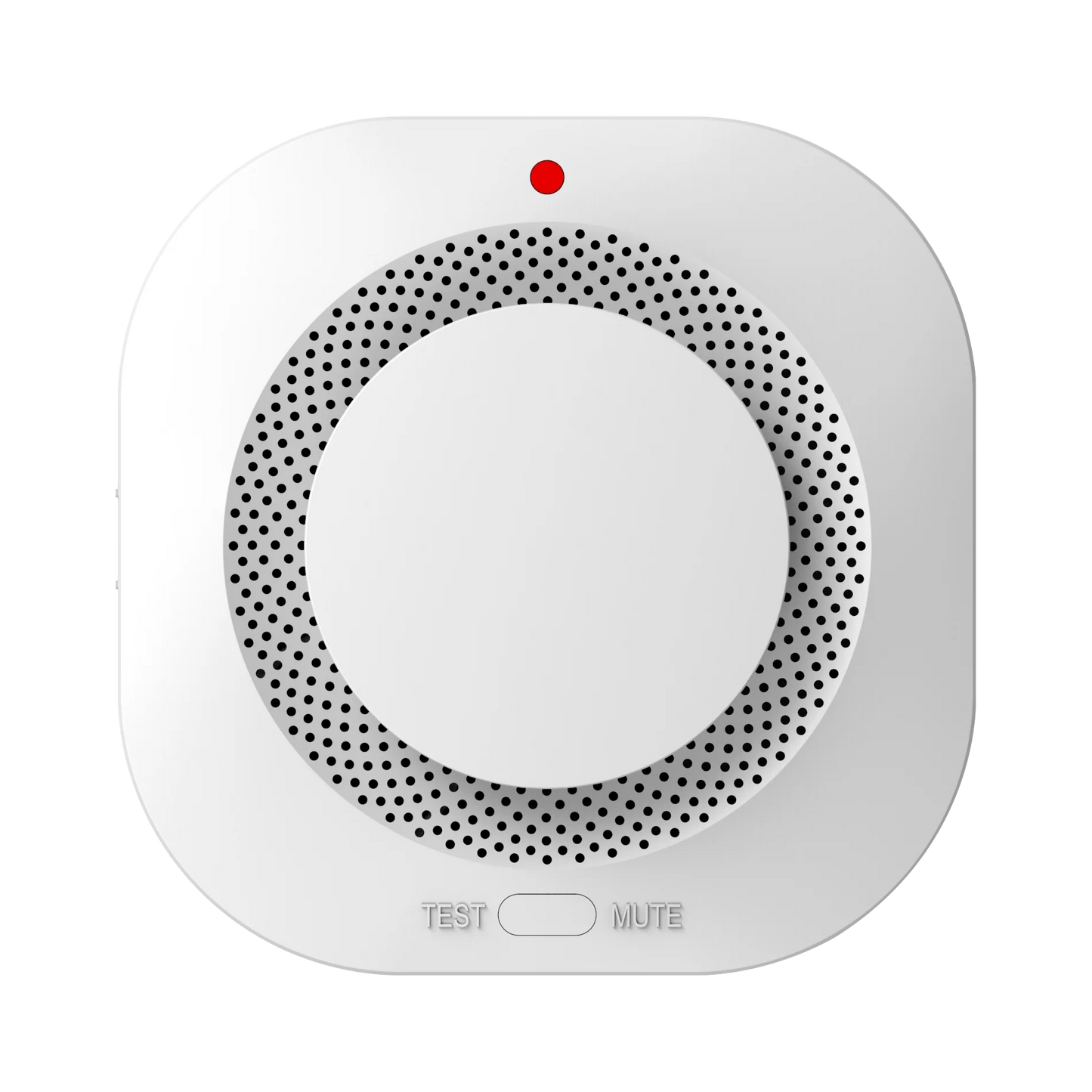Gautone Independent Smoke Alarm Security