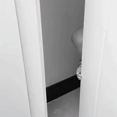 Bloque porte bebe - ZOO | Securité Enfant