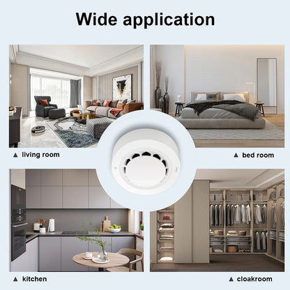 Smoke Fire Alarm Home Security System