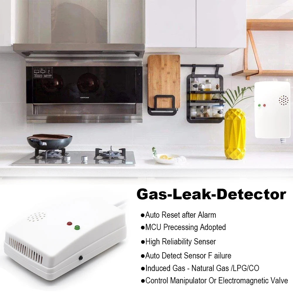 Natural Kitchen Gas Detector