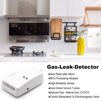 Natural Kitchen Gas Detector