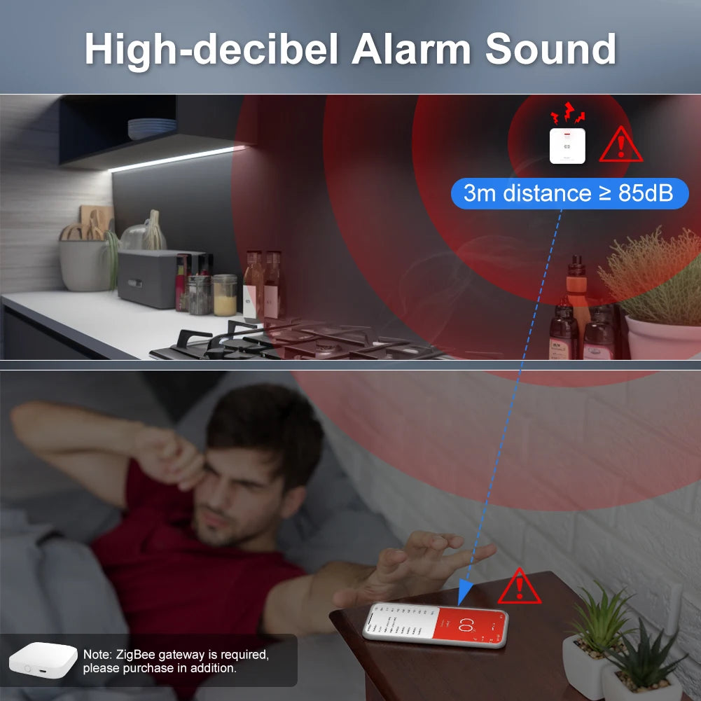 Wireless Household Gas Siren Alarm