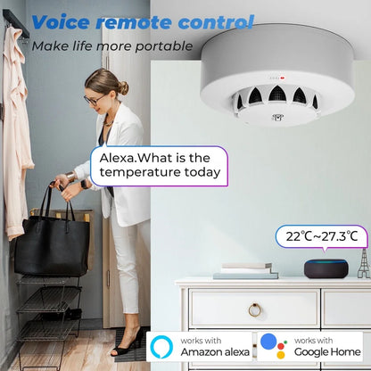 Smoke Detector Temperature Humidity Alarm