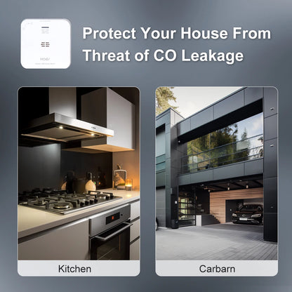 Wireless Household Gas Siren Alarm