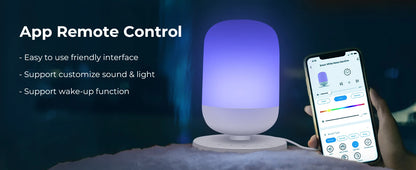 Tuya WireLess Smart White Noise Machine