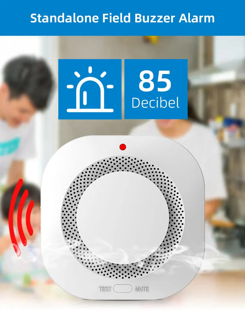 Gautone Independent Smoke Alarm Security