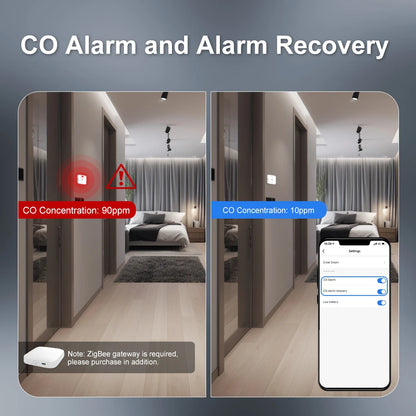 Wireless Household Gas Siren Alarm